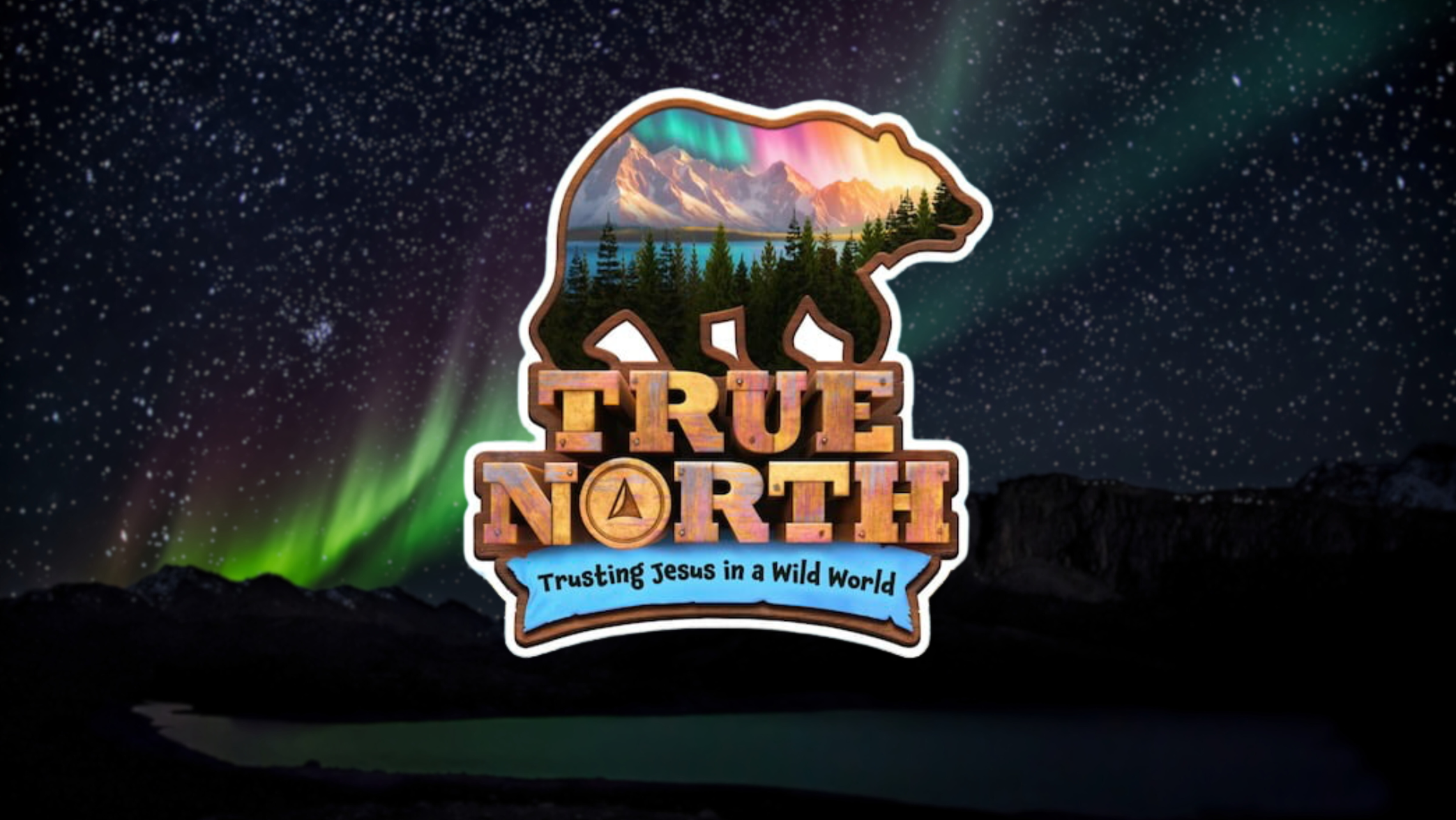 67b8bef119d468b385215da1 2025 Vbs Web Banner